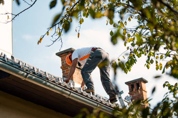 Best Roof Installation Near Me  in Maryvle, IL
