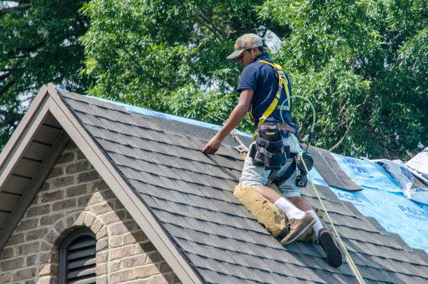 Best Shingle Roofing Installation  in Maryvle, IL